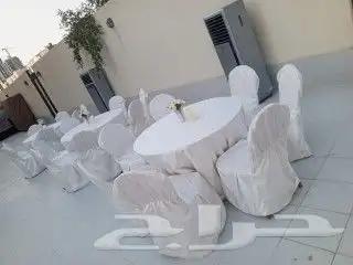 تاجير كراسي وطاولات اشكال والوان 2