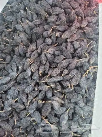 الزبيب الأسود. اليمني 3