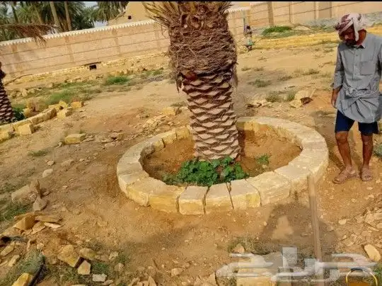 تنفيذ شغل الحجر وبيوت الطين . 5