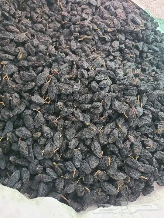 الزبيب الأسود. اليمني 1