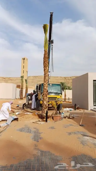 قلع وغرس ونقل النخيل بجميع انواعه 1
