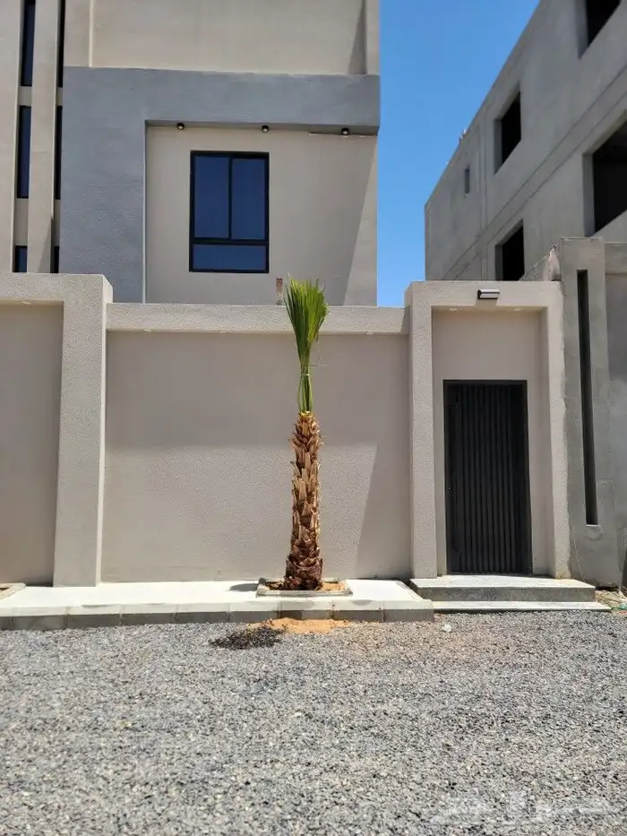 نخل بجميع مقاساته 5