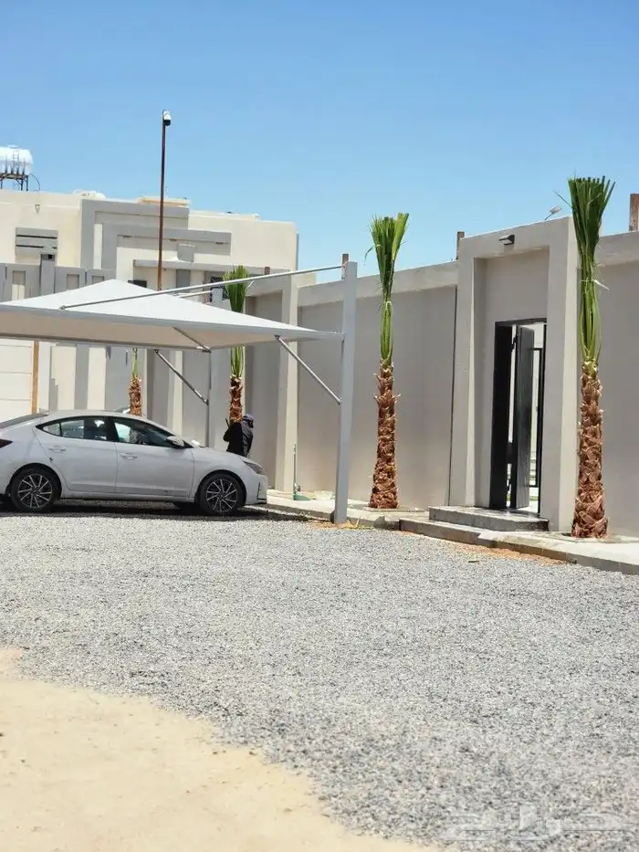 نخل بجميع مقاساته 2