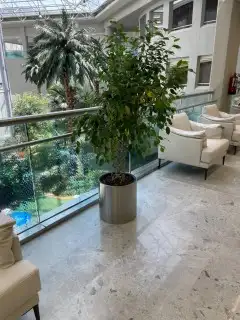 احواض ومراكن للنباتات 4