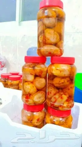 مكدوس فلسطيني شغل بيت ونضيف ومضمون 100 1