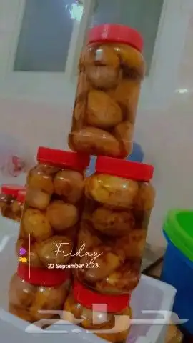 مكدوس فلسطيني شغل بيت ونضيف ومضمون 100 2