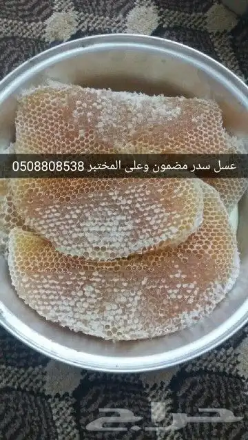 عسل طلح عسل سمرة عسل سدر اصلي مضمون وعلى الشرط 9
