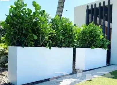 احواض ومراكن للنباتات 6