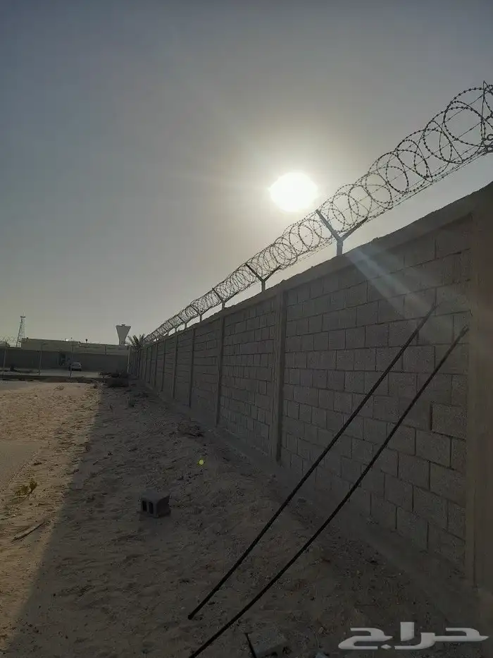 نعمل في جميع انواع الشبوك وجميع انواع النخيل 6