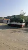 دينا شبك للنقل 0