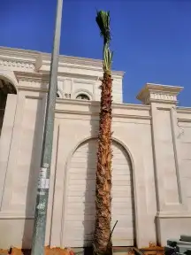 واشنطن جميع المقاسات 0