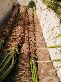 واشنطن جميع المقاسات 1
