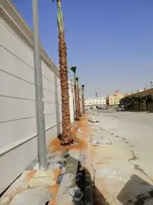 واشنطن جميع المقاسات 2