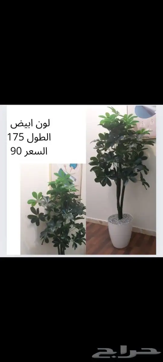شجر صناعي جديد 9