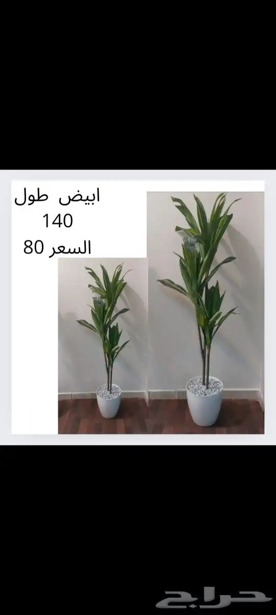 شجر صناعي جديد 22