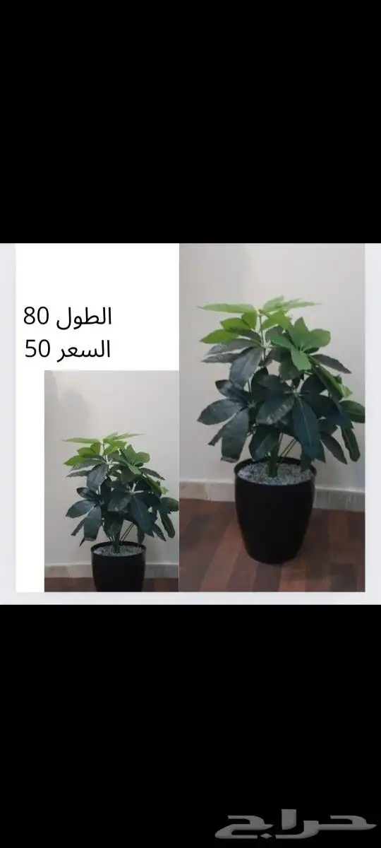 شجر صناعي جديد 6