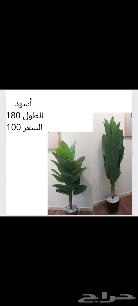 شجر صناعي جديد 7