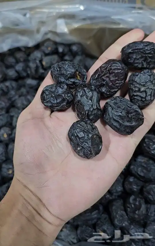 تمر عجوة المدينة المنورة فاخرة ومبرومة 1