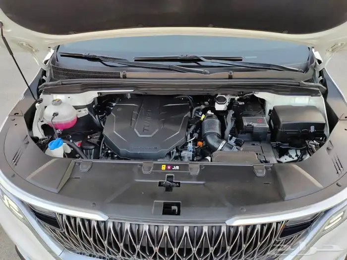 تم البيع كرنفال ديزل 2021 فل كامل داخل جملي بطاقة جمركيه 37