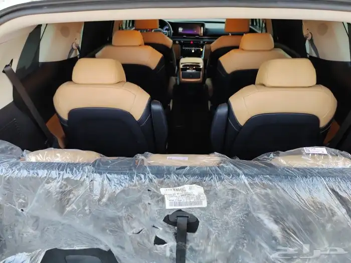 تم البيع كرنفال ديزل 2021 فل كامل داخل جملي بطاقة جمركيه 21