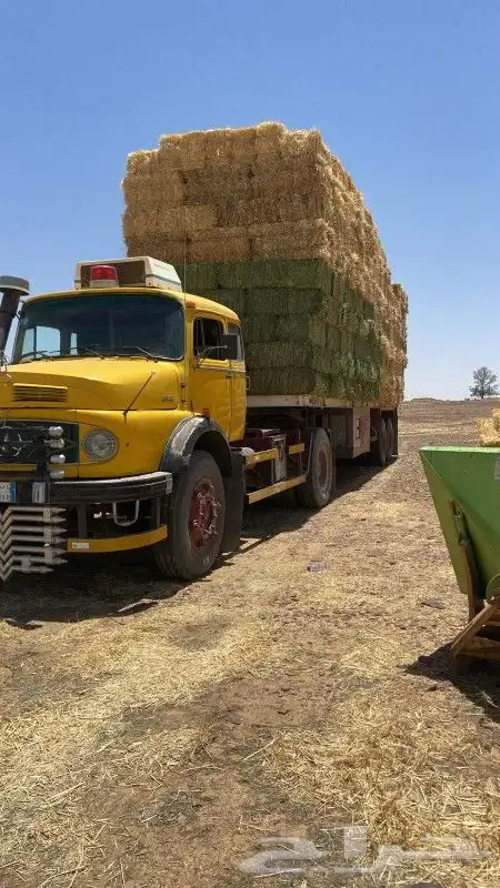 سطحة تريله 2لنقل الاعلاف النخل الاسمنت الحديد من القصيم ل اي 0