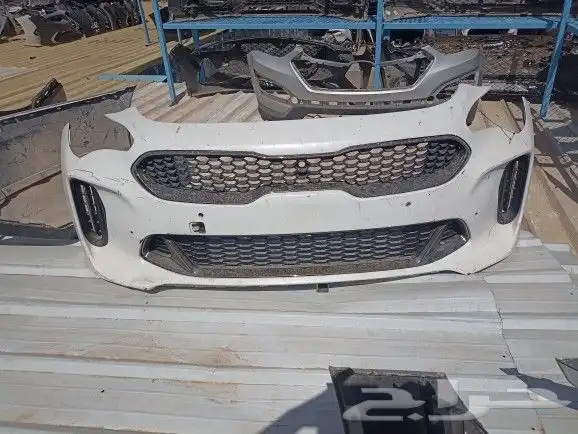 يوجد لدينا صدام ستنقر 2020 1