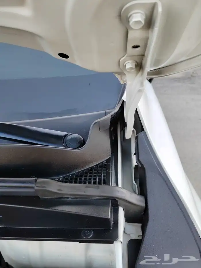 تم البيع كرنفال ديزل 2021 فل كامل داخل جملي بطاقة جمركيه 40