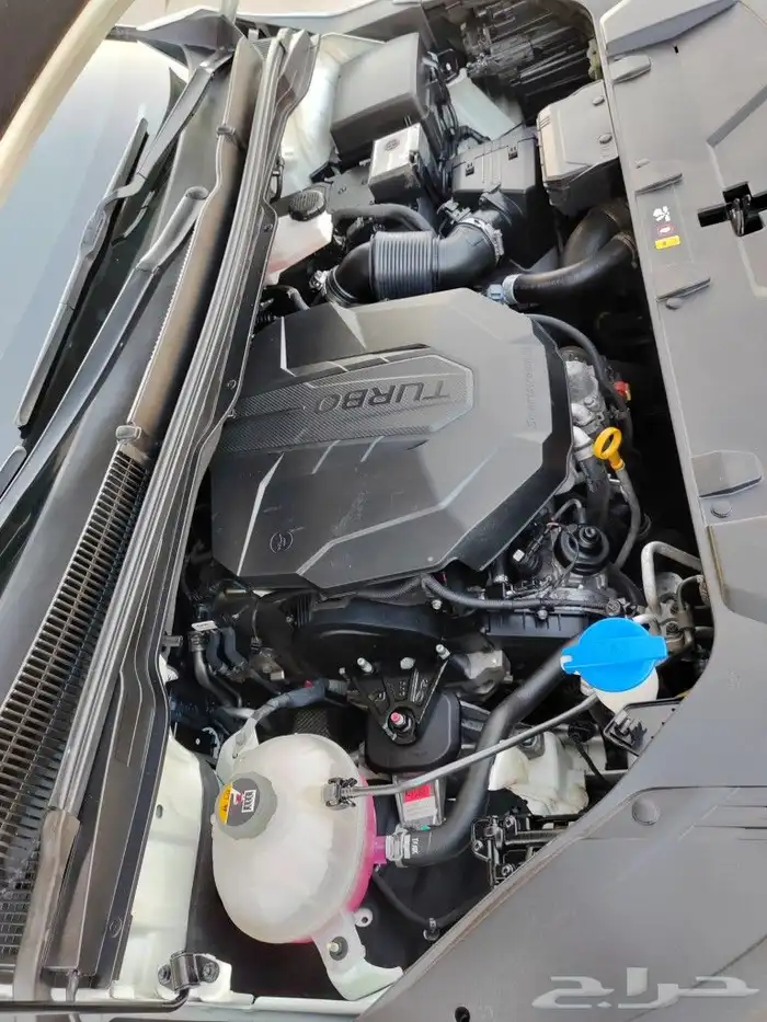 تم البيع كرنفال ديزل 2021 فل كامل داخل جملي بطاقة جمركيه 38