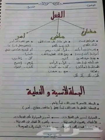 معلم لغة عربية خبرة كبيرة في التعليم جميع المراحل والجامعات 3