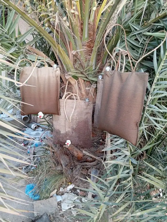 مطارة ماء 5 لتر 0
