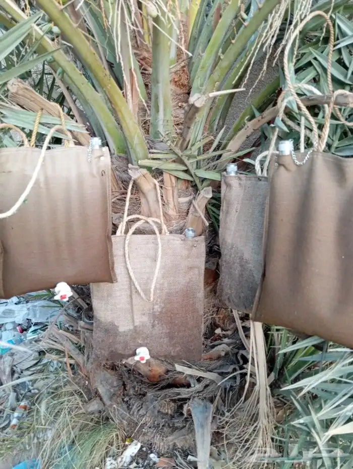 مطارة ماء 5 لتر 1