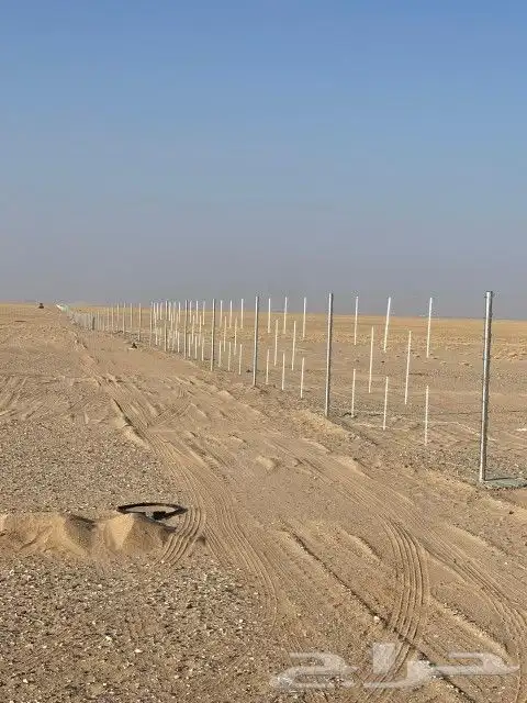 مقاول شبوك وسياج وتوريد نخيل وبنا حجر وطين 1