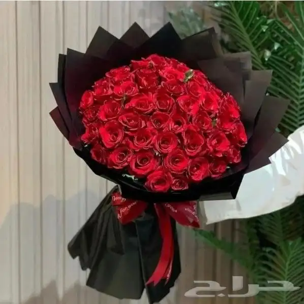 ورد_أبها  ورد_ابها  ورود_أبها  ورود_ابها  وردابها  وردأبها 3