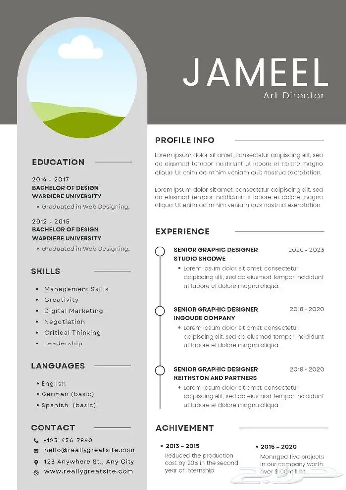 اصمم CV بأسرع وقت وبشكل مرتب واحترافي 10