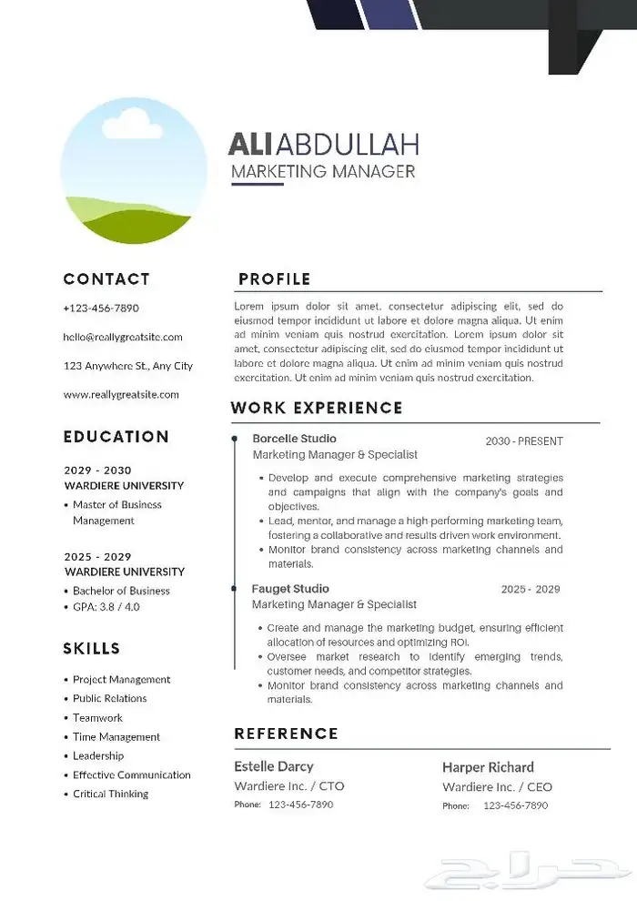 اصمم CV بأسرع وقت وبشكل مرتب واحترافي 4