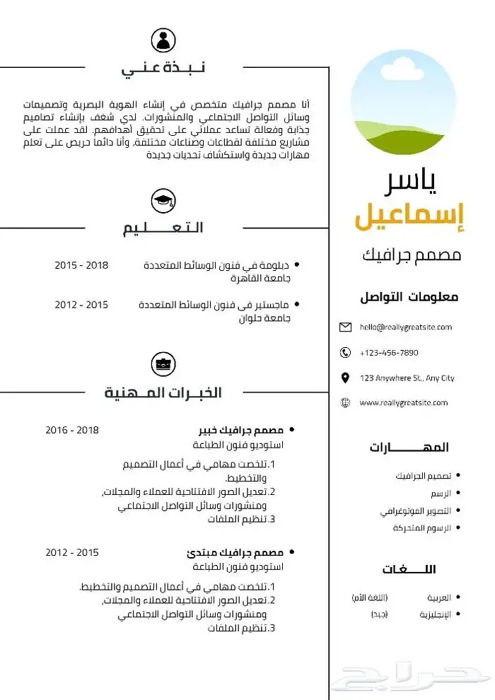 اصمم CV بأسرع وقت وبشكل مرتب واحترافي 0