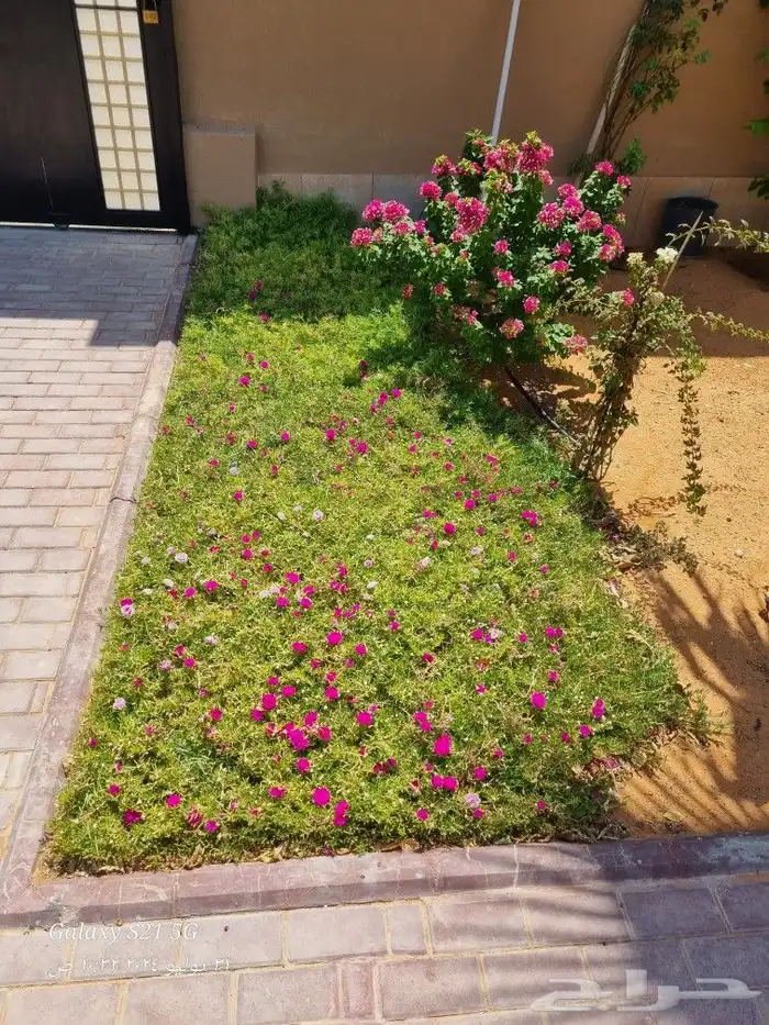 تنسيق الحدائق 1