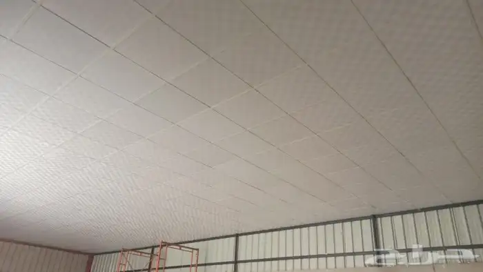 سقف مستعار 60 60 5