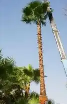 وشنطنيا زينه 3