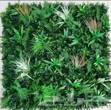 خميس مشيط ابها 8