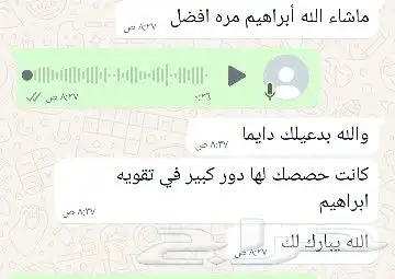 معلمة تربية خاصة تخاطب وصعوبات تعلم 0