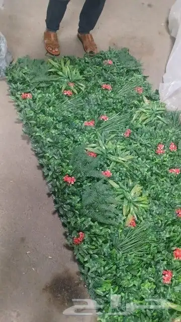 خميس مشيط ابها 9