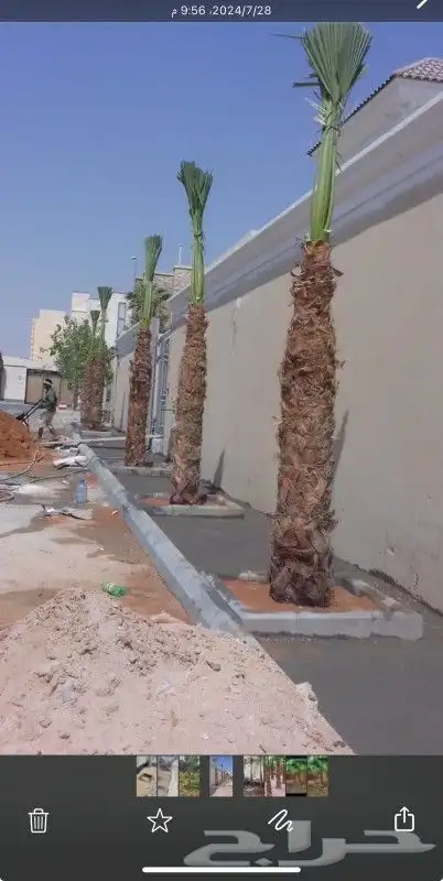 خدمات الزراعة والنخيل با ارخص الاسعار واحسن الخدمات 2