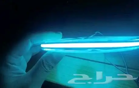 strip light led 12v 5m cob 2