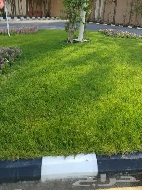 ثيل طبيعي 1