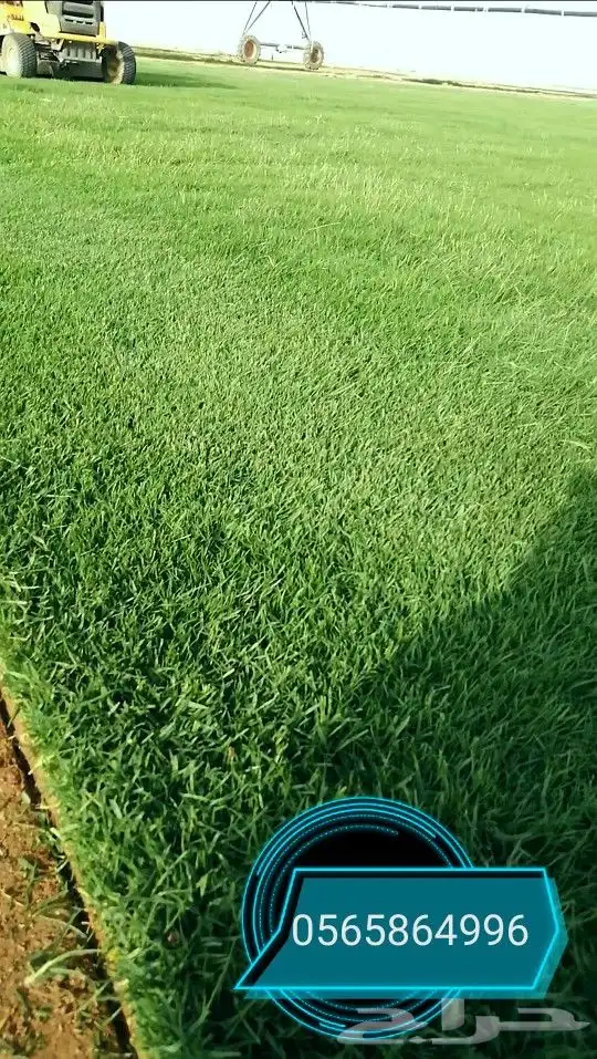 ثيل طبيعي نجيله زراعيه 4