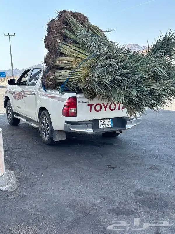 يوجد لدينا جميع انواع انخيل 5