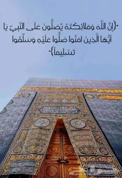سائق خاص 0