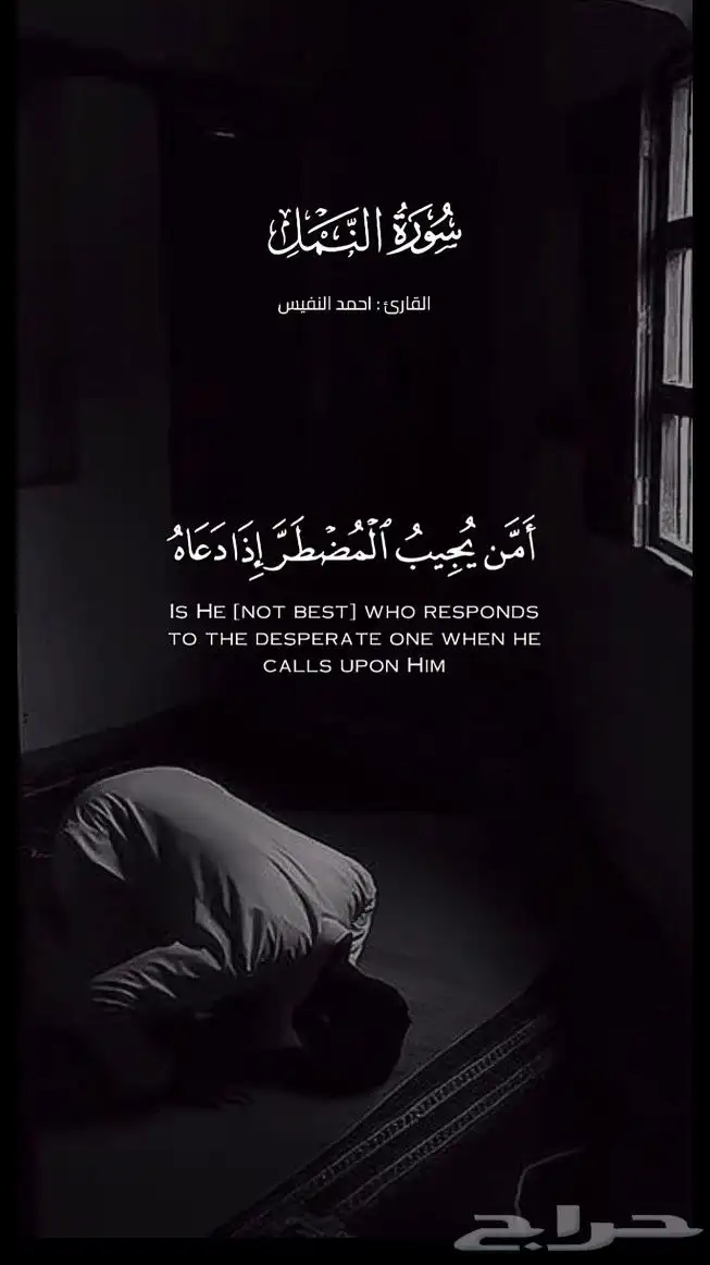 توصيل مدارس مخطط2 الشرايع 0