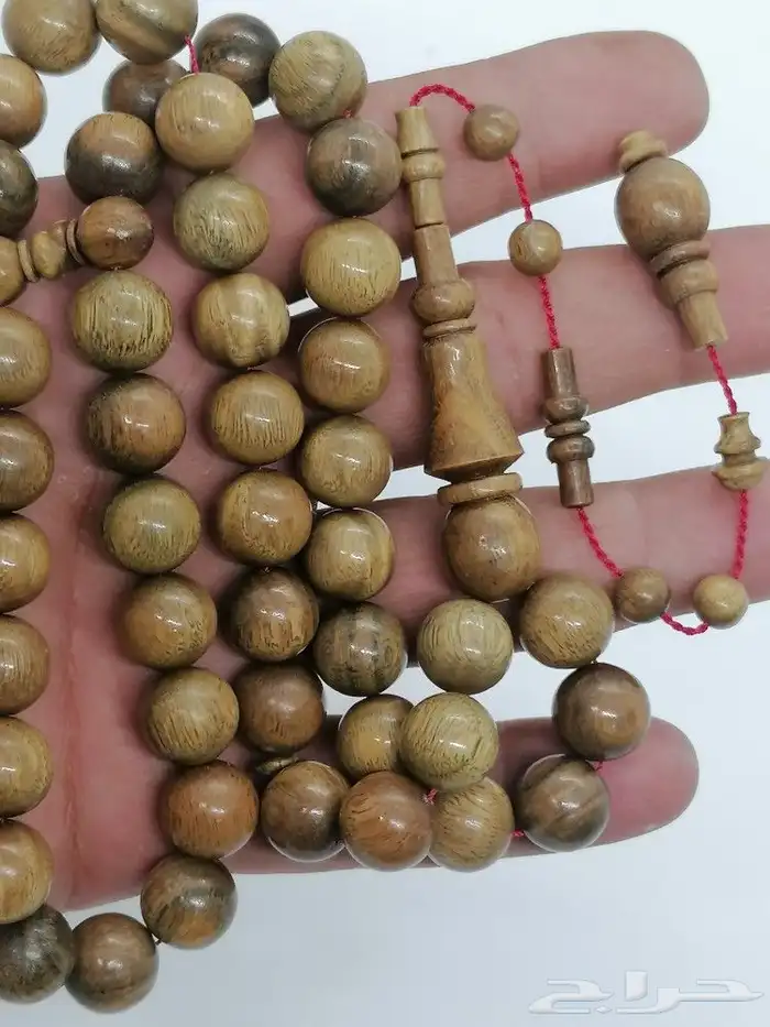 كاست أمريكي شفاف مع مجموعة اخشاب من النوادر 11